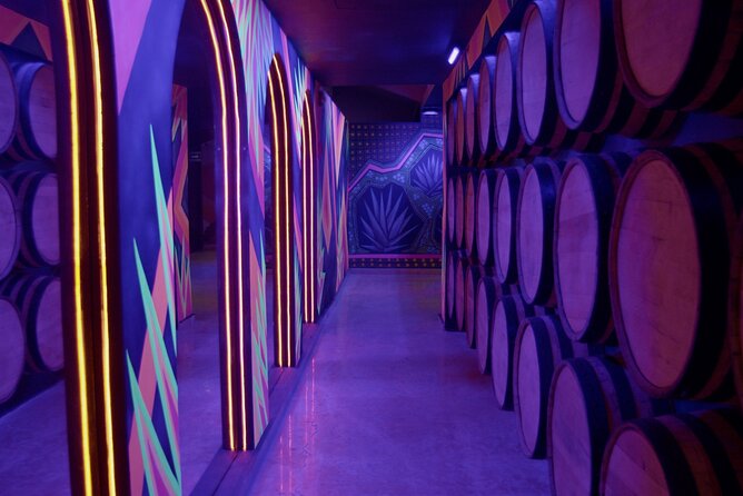 Immersive Experience & Tequila Tasting in Puerto Vallarta - Tequila origins through video, projections, and video mapping
