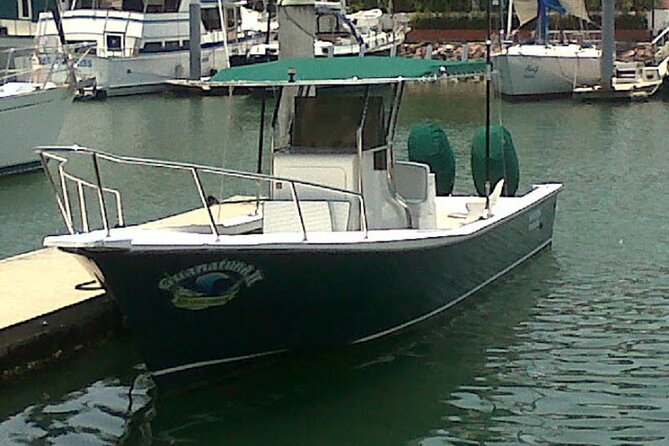 Inshore Fishing 4-Hour Puerto Vallarta Charter - What you might catch, and how to think about it
