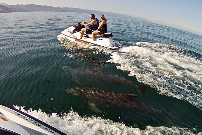 Jet Ski Safari in Puerto Vallarta - Wildlife Sightings and the Ocean Perspective That Changes Everything