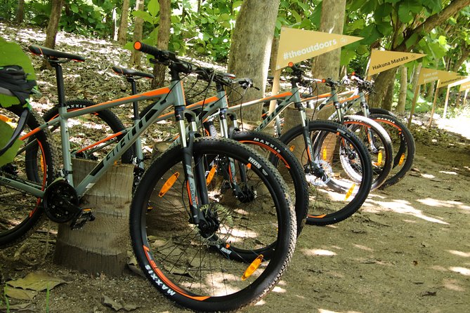 Jungle Bike Tour - What’s included for $64, and why that matters