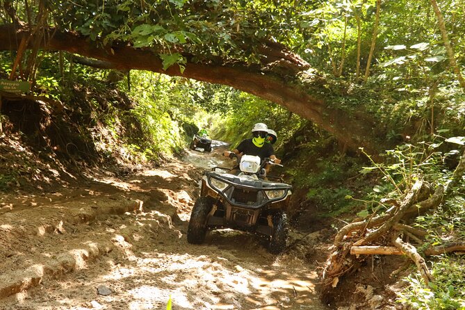 Jungle double ATV Tour "El Mirador" (ride tandem on ATV) - Price and value: what $114 covers, and what to watch for