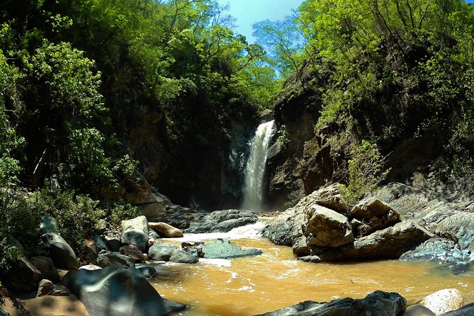 Jungle HorseBack Adventure to Las Palmas Waterfall All Included - A quieter Puerto Vallarta day, built around the Sierra Madre