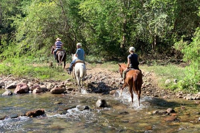 Jungle HorseBack Adventure to Las Palmas Waterfall All Included - Pickup and the 10:00 AM start: how to make it smooth