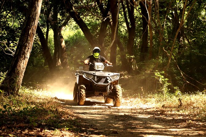 Jungle Single ATV Tour "El Mirador" - Wildlife spotting, local plants, and what you might actually see