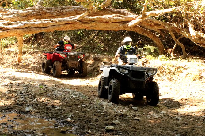 Jungle Single ATV Tour "El Mirador" - Price and value, why $85 can make sense