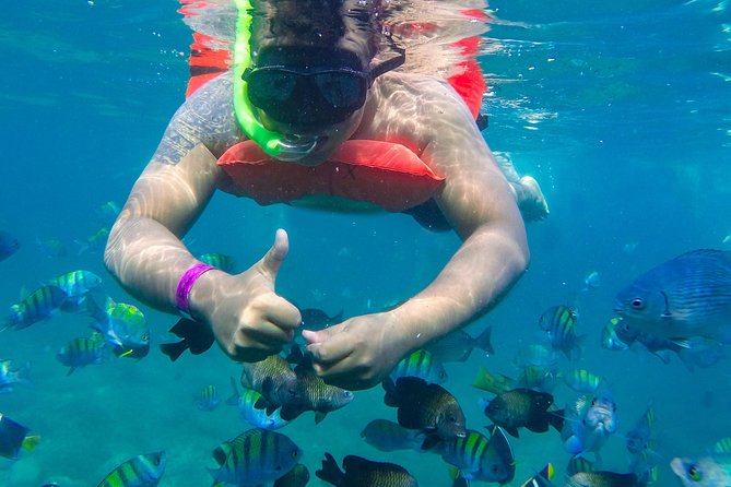 Las Caletas Beach & Adventure Park with buffet lunch and open bar - Kid’s Adventure Park and Teen Adventure Cove: Worth It for the Right Ages