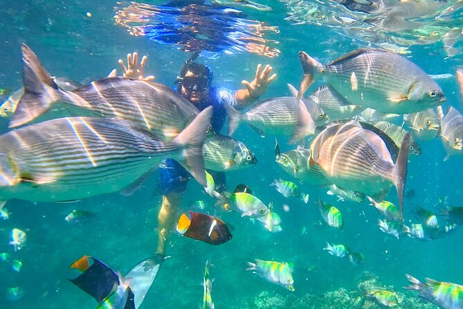 Los Arcos 5 islands Snorkeling Cliff Jumping and Hidden Beach - Getting started in Zona Romántica: your first step is transportation