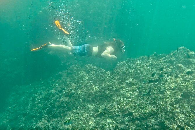 Los Arcos Snorkeling & 5 Island Adventure - Mismaloya Beach at the end, then you’re free