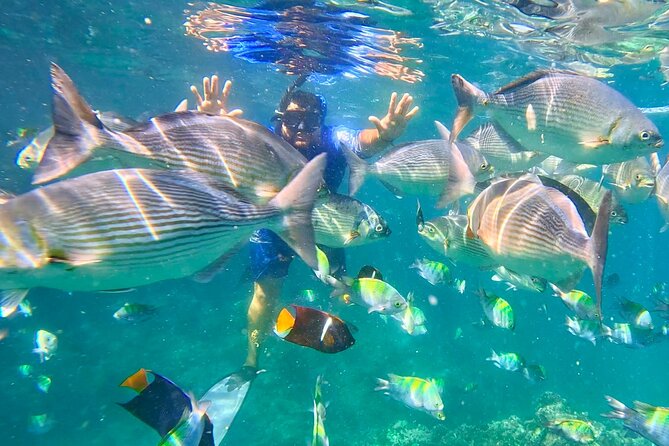 Los Arcos Snorkeling Adventure, Colomitos & Las Animas Beach - Colomitos coast ride: jungle cliffs, beaches, and seasonal wildlife