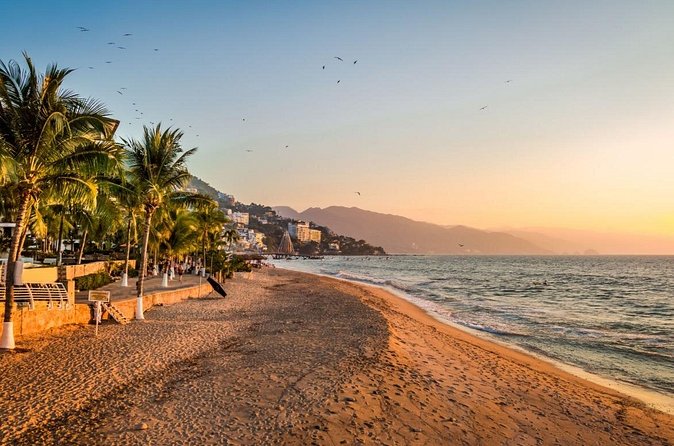 Love on the Boardwalk in Puerto Vallarta - Private - Meeting Point, Timing, and Practical Tips That Help