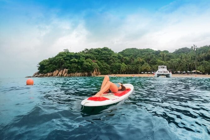 Luxury Yacht & Snorkel with All inclusive Open bar and lunch - Lunch and snacks: guacamole, seafood options, fruit, and the sandwich question