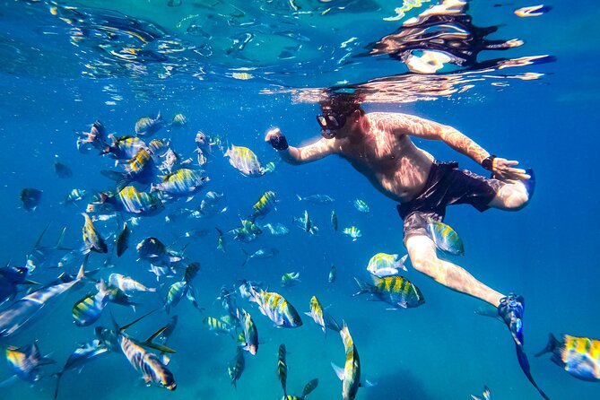 Luxury Yacht & Snorkel with All inclusive Open bar and lunch - Unlimited open bar: how it feels in practice, and what to expect on the beach