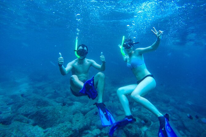 Luxury Yacht & Snorkel with All inclusive Open bar and lunch - Sailing the Bay of Banderas: Los Arcos, the Malecon from the sea, and wildlife moments