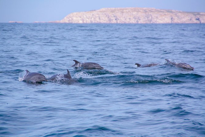 Marietas Hidden beach trip from Puerto Vallarta - Stop 1: Marietas Islands and the Hidden Beach swim