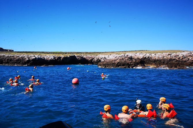 Marietas Islands Snorkel Tour & Hidden Beach - The Ameca River mouth stop: your first shot at dolphins