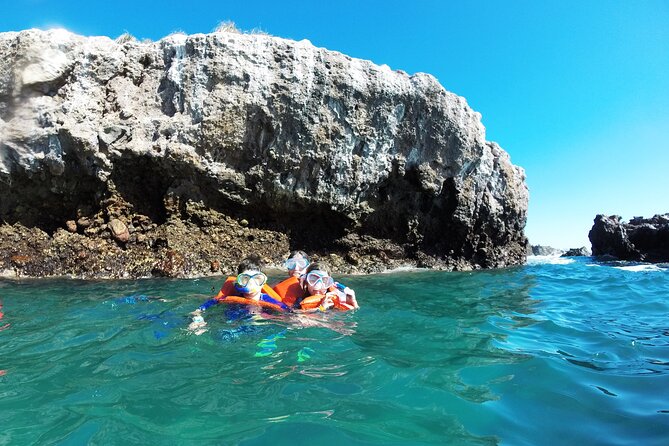 Marietas Islands snorkeling & Hidden beach (w/ restrictions) - Check-in at Marina Vallarta and what to have ready