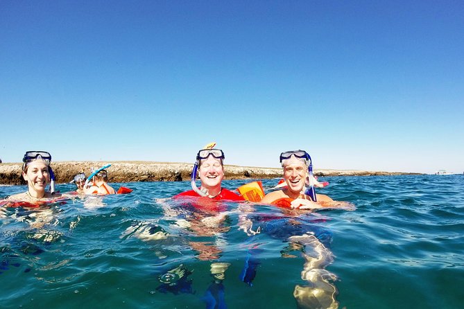 Marietas Islands snorkeling & Hidden beach (w/ restrictions) - Snorkeling at Marietas: what you’ll actually do in the water