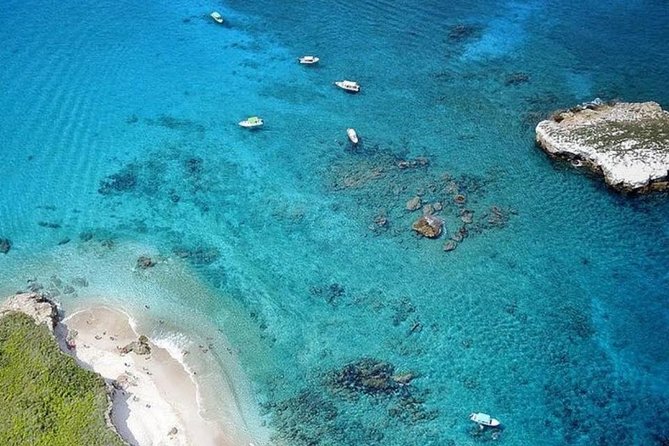 Marietas Sail, Snorkel and Beach - Wildlife spotting on Bahia de Banderas