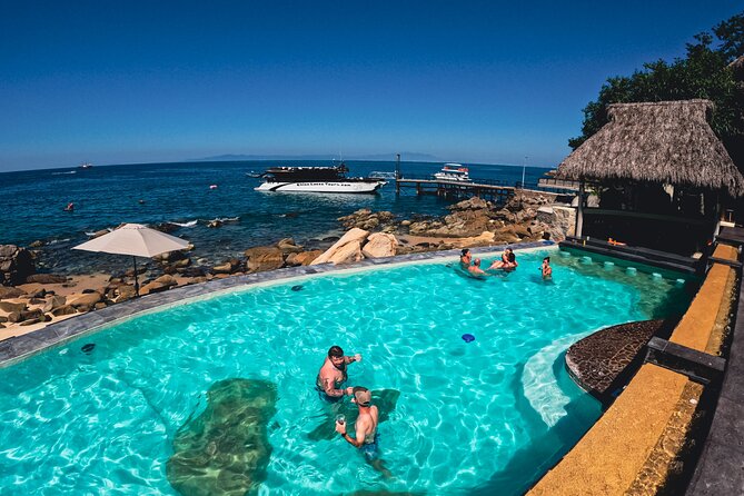 Mega Catamarans ALL INCLUSIVE Remote Paradise Beach Adventure - Return Cruise to Vallarta: Marine Life and a Final Party Wave
