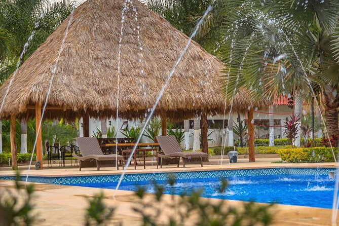 Mexican Cooking Experience & Unlimited Margaritas - Why La Dulce Vista Feels Like a Real Escape From Puerto Vallarta