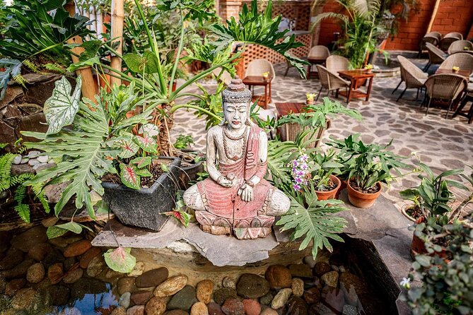 Mexican Wine Tasting Experience - A 5:30 pm garden tasting in Puerto Vallarta’s Zona Romántica