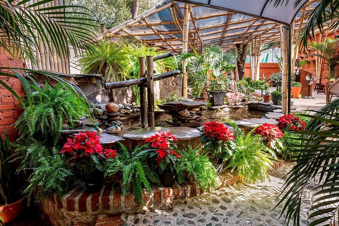 Mexican Wine Tasting Experience - Price and value: what $50 buys in one evening hour