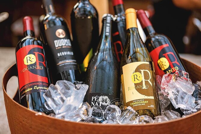 Mexican Wine Tasting Experience - Who should book this, and who should set different expectations