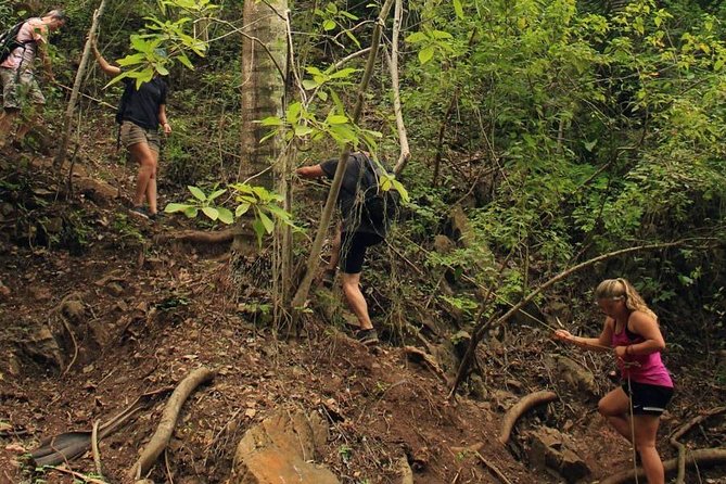 Monkey Mountain Jungle Hike Adventure - The guides and why their style matters on steep trails