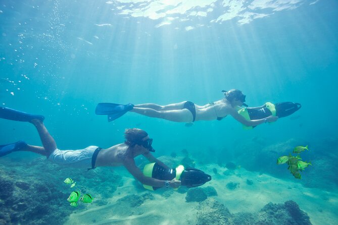 Ocean Mania & water park experience in Puerto Vallarta - Price and What You Actually Pay for