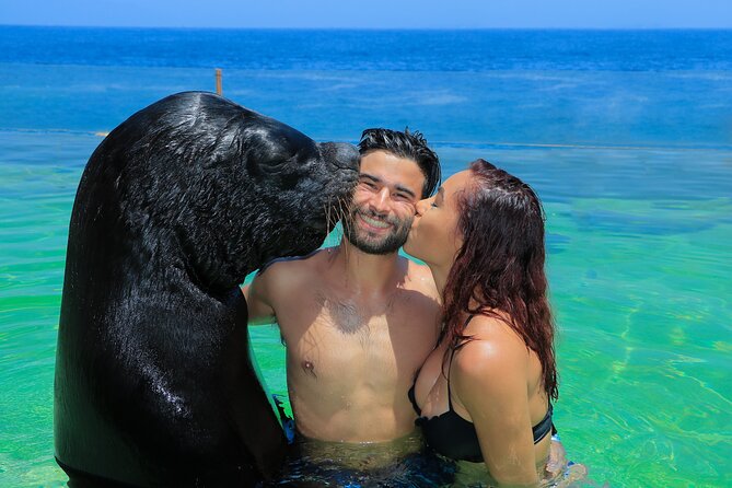 Ocean Mania & water park experience in Puerto Vallarta - Sea Lion Encounter and the Marine Mammal Center Stop