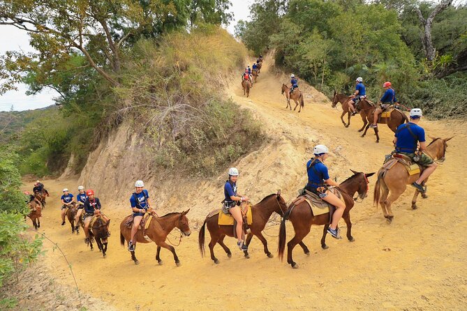 Outdoor Ziplining, Waterfalls & Speed boat in Puerto Vallarta - Mule trek and jungle ziplines, including the 1,000-foot line and roller-coaster moment