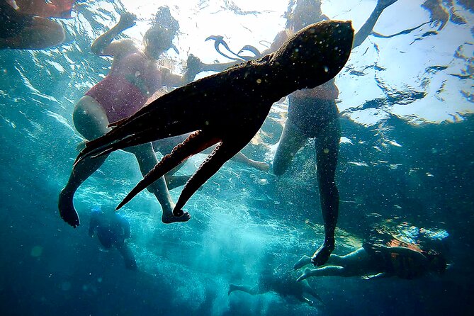 Paddleboard and Snorkeling Experience in Los Arcos - The Snorkel Stop: Natural Aquarium Time (30 to 40 Minutes)