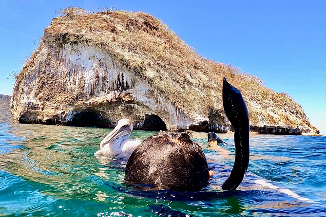 Paddleboard and Snorkeling Experience in Los Arcos - Timing, Weather, and How to Prepare Like a Pro