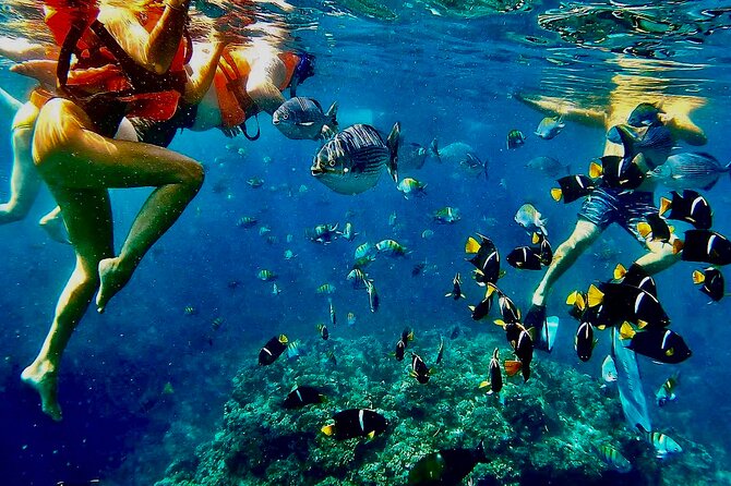 Paddleboard and Snorkeling Experience in Los Arcos - Los Arcos Caves: Where the Scenery Turns Into the Activity