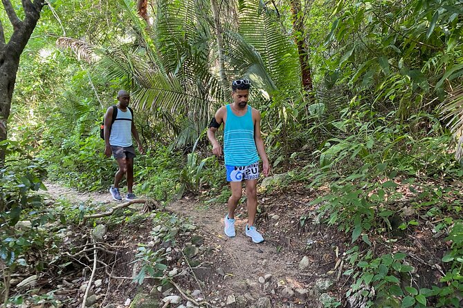 Palo María Waterfalls Hike Half-Day Tour - Practical Packing Tips for a Wet, Steep Day
