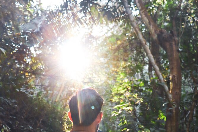 Private 4 hour Hiking Adventure + Breakfast in Nogalito Ecopark - Key highlights before you go