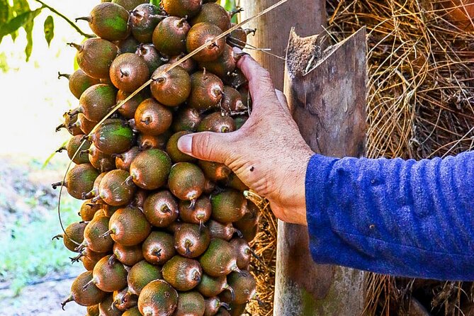 Private 4 hour Hiking Adventure + Breakfast in Nogalito Ecopark - Nogalito Ecopark: where the trail and breakfast both feel local