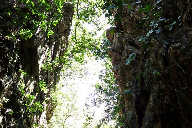 Private 4 hour Hiking Adventure + Breakfast in Nogalito Ecopark - How the private 4-hour format actually plays out