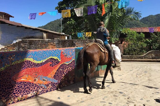 Private Boat Tour to Yelapa - What’s included, what’s not, and what to bring