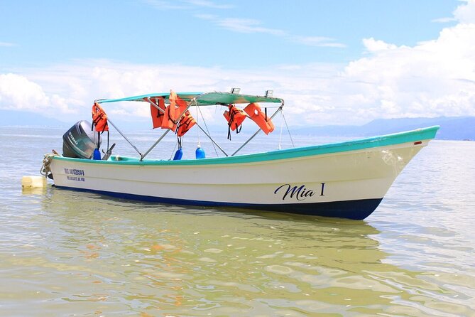 Private Boat Tour to Yelapa and Majahuitas Snorkel (up to 7 guests) - The boat, the crew, and the value of locals running the day