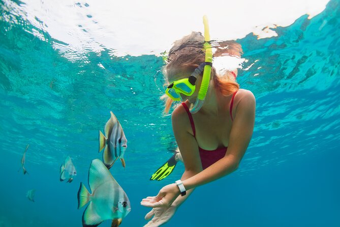 Private Boat Tour to Yelapa and Majahuitas Snorkel (up to 7 guests) - Timing that works: why the order of stops matters