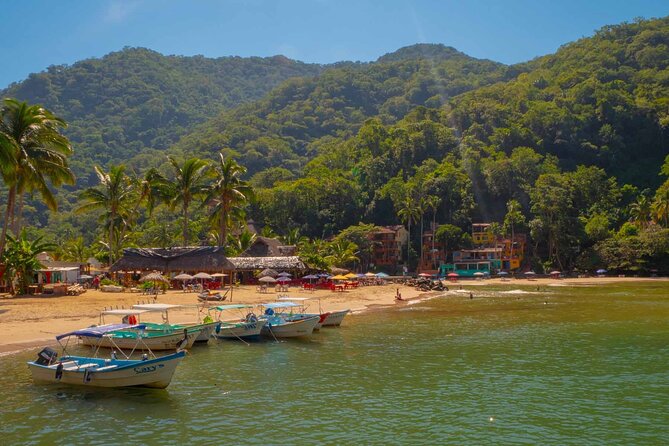 Private Boat Tour to Yelapa with Snorkeling and Waterfall Hike - Los Arcos National Marine Park snorkeling: caves, tunnels, arches, and reef