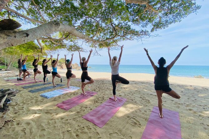 Private Customized Group Yoga Class with Wanderlust Sayulita - The Beach Views Plus Thoughtful Moments (Flower Blessing Included)