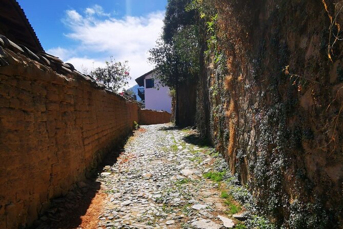Private Experience to San Sebastián del Oeste - The guided walking tour: cobblestones, colonial-style architecture, and town-center stops