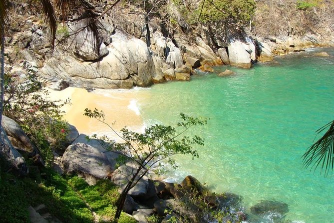 Private Los Arcos Snorkel and Beach Tour from Puerto Vallarta - From Los Muertos Pier to Los Arcos National Park