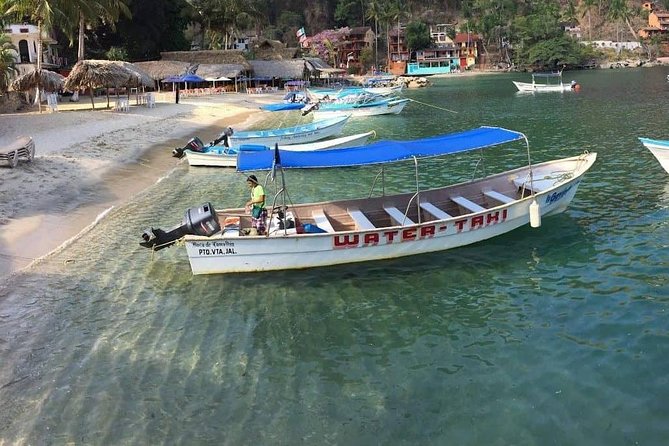 Private Los Arcos Snorkel and Beach Tour from Puerto Vallarta - Should you book Private Los Arcos Snorkel and Beach Tour?