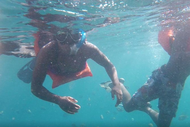 Private Los Arcos snorkeling - Who This Tour Is Best For (and Who Might Want a Different Plan)