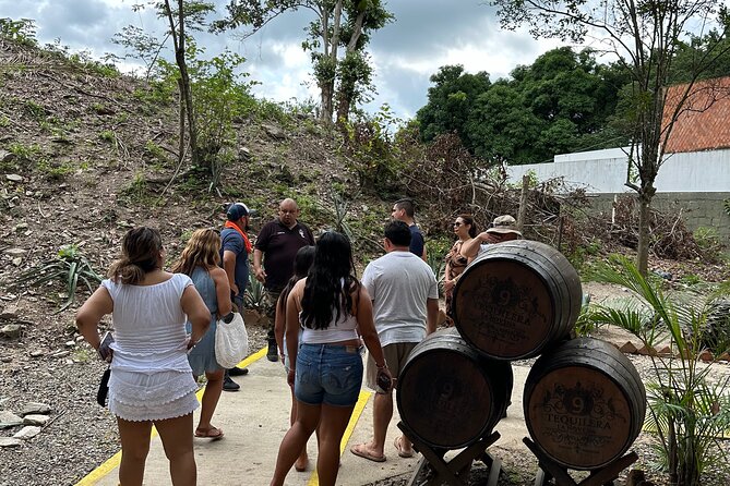 Private Puerto Vallarta Journey Through the Heart of the City - Price and Value: What $350 Covers for a Group of Up to 6