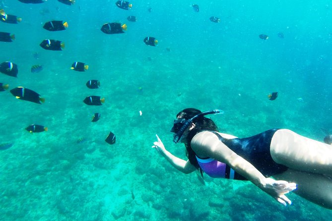 Private Snorkeling Adventure: Los Arcos & Colomitos Beach - The motorboat ride to Los Arcos: views plus momentum