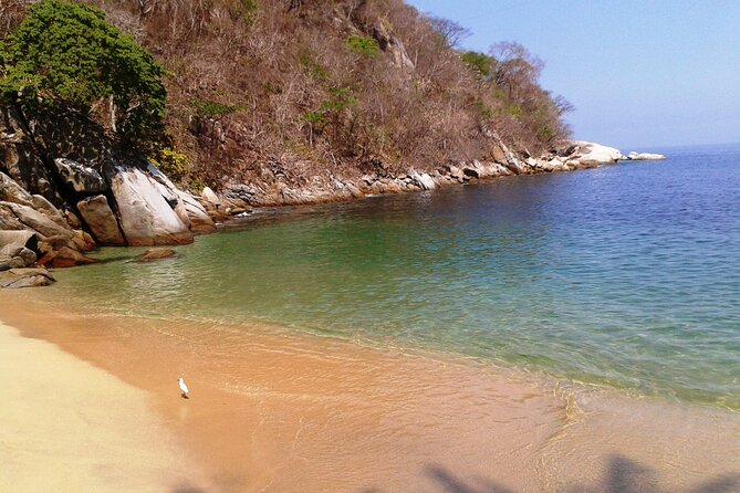 Private Snorkeling Adventure: Los Arcos & Colomitos Beach - Why Playa Colomitos comes last (and why that’s smart)